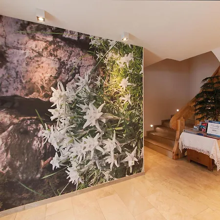 Stoecklhof Apartment *